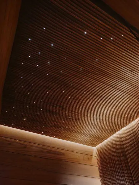 Оптоволоконное звездное небо для сауны Cariitti Starry Sky-100, 1815002